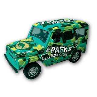Obrázek z Auto 4x4 Rover - les (12) 